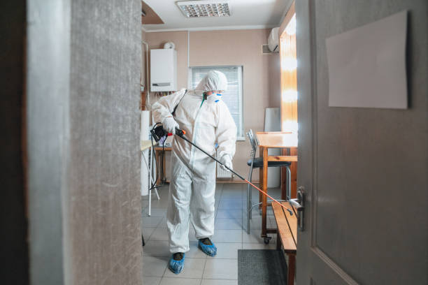Best Mold Documentation for Insurance Claims  in University City, MO