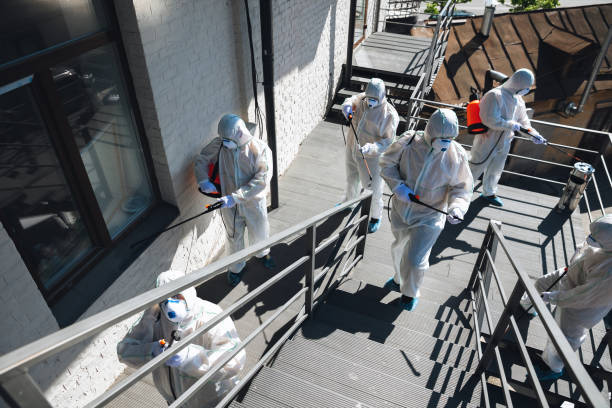 Best Residential Mold Inspection & Testing  in University City, MO