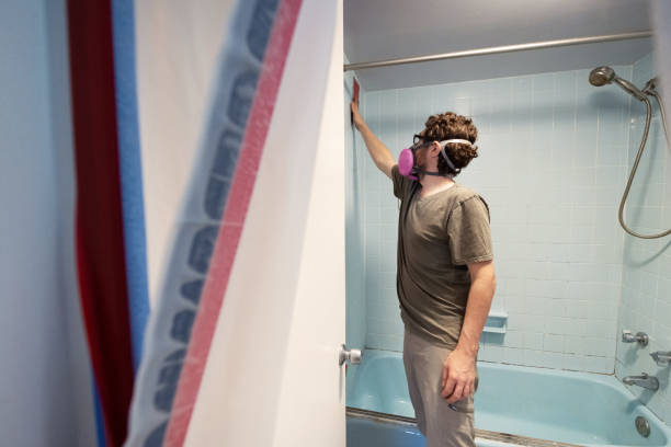  University City, MO Mold Removal Pros